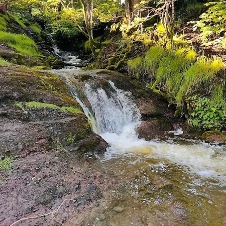 Bumble In Vakantiehuis *