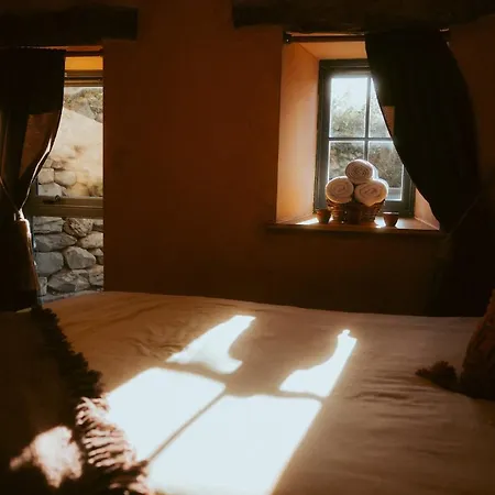 Bumble In Vakantiehuis