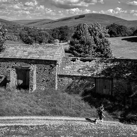 Semesterbostad Bumble In *